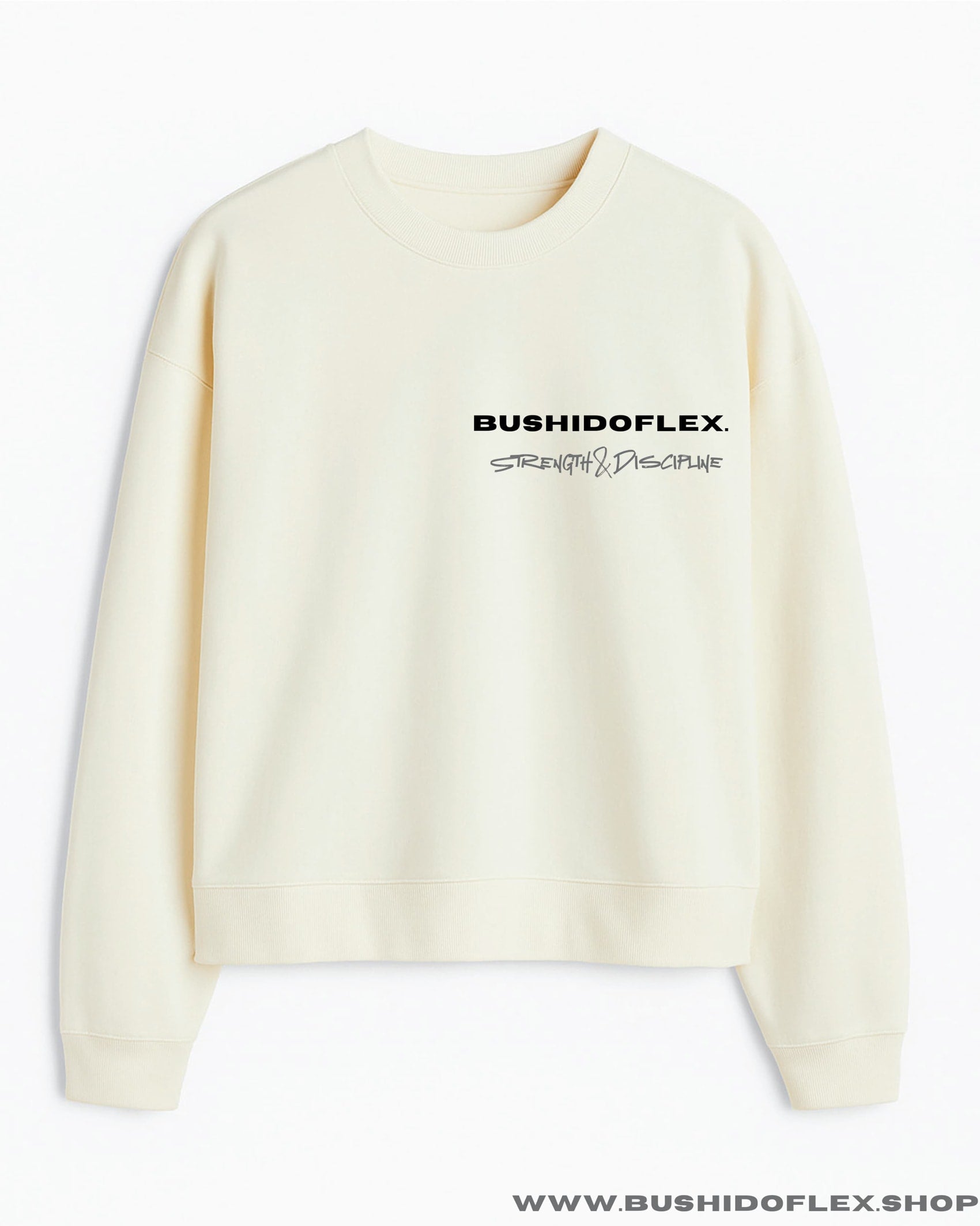 Regular Fit SweatShirt